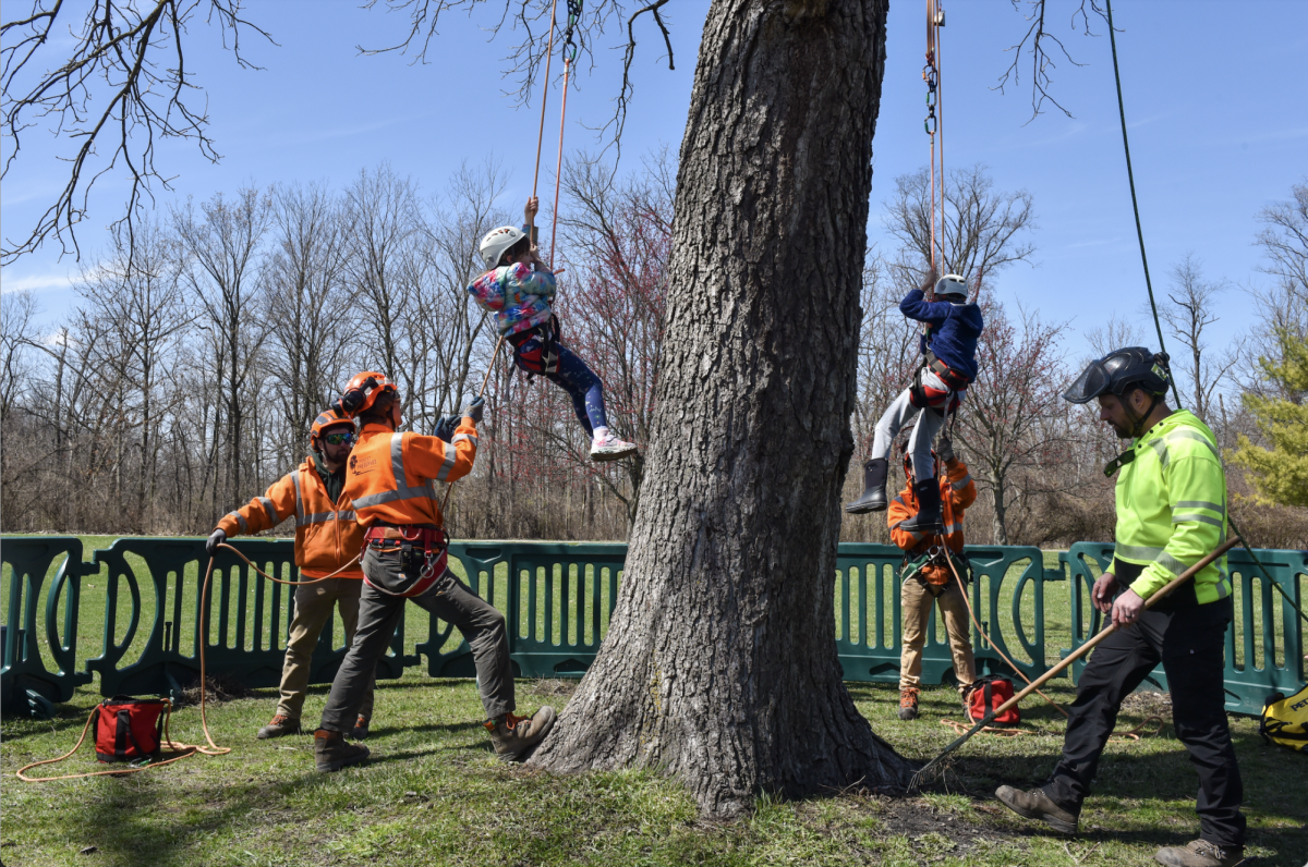 Two children are hoisted up a tree by a rope and pulley system. Adults in safety gear surround them.